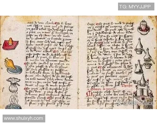 拉波尔特的崛起与挑战：探索科技与人文交融的新未来