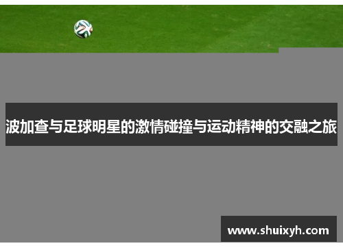 波加查与足球明星的激情碰撞与运动精神的交融之旅