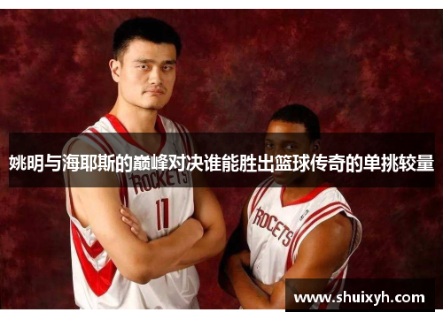 姚明与海耶斯的巅峰对决谁能胜出篮球传奇的单挑较量