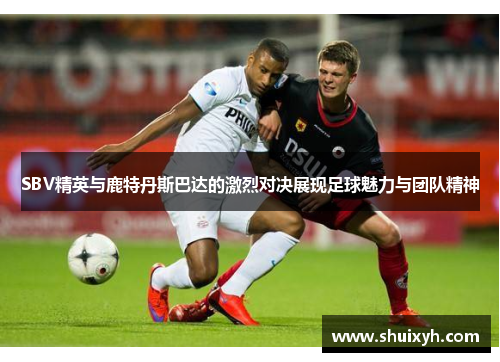 SBV精英与鹿特丹斯巴达的激烈对决展现足球魅力与团队精神