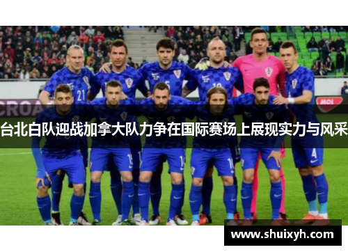 台北白队迎战加拿大队力争在国际赛场上展现实力与风采